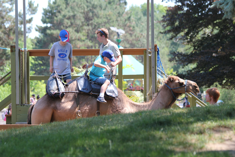 slideshow